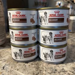 Royal Canin Canned Food 