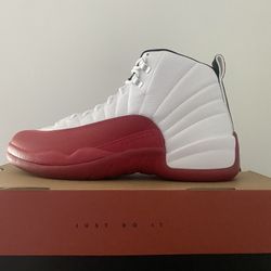 Air Jordan 12’s 