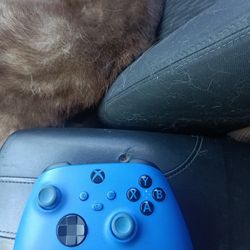 Xbox controller 1914