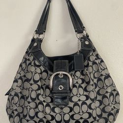Huge Coach Bag