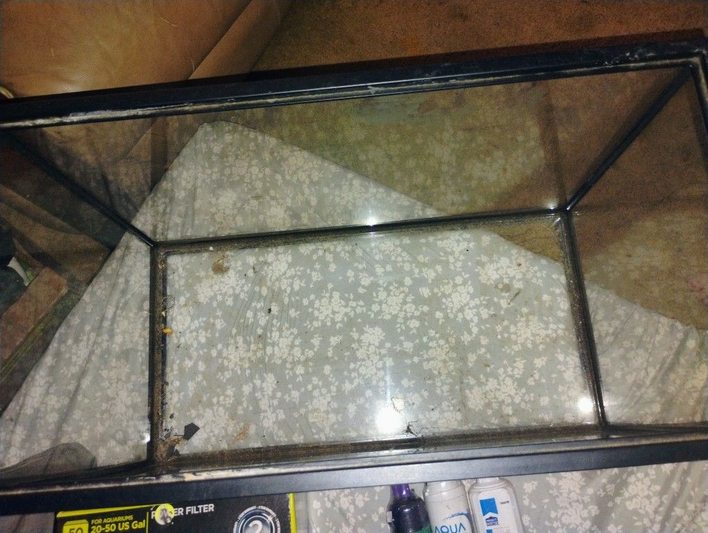 Fish Tank 10 Gallons