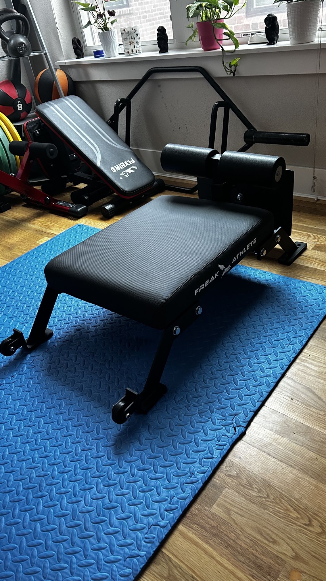 Freak Athlete Nordic Curl Bench