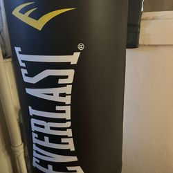 Everlast Free Standing Punching Bag