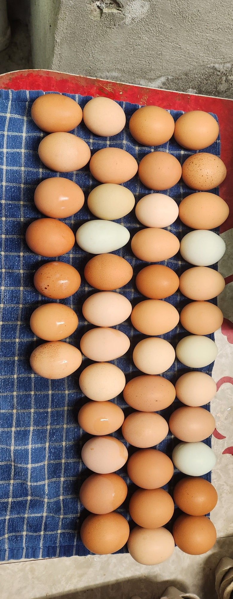 Farm Fresh Eggs