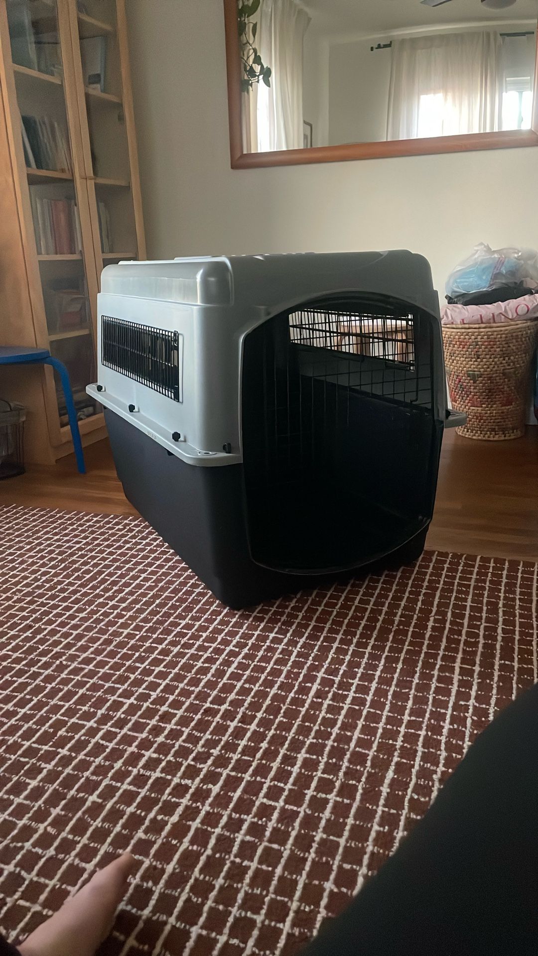 Dog Crate (Hardshell)