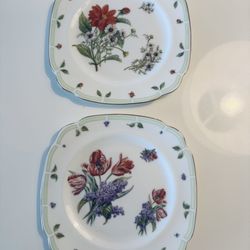 Two Royal Albert Plates