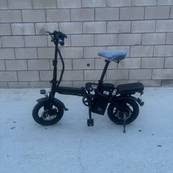 Electric Bike 