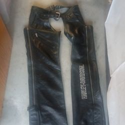 Women's Size M Genuine Harley Davidson Chaps