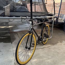 Black And Gold Fixie Bike