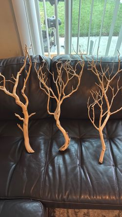 3 Manzanita branches