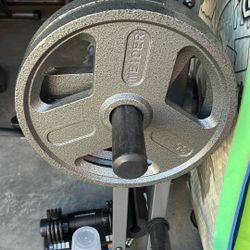 Weider Olympic Weight Plates 35x2
