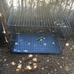 Dog Crate 