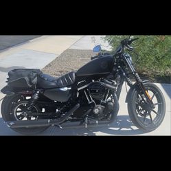 Harley Davidson Iron XL