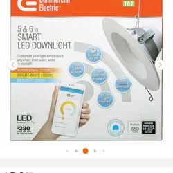 Smart Led Downlight
