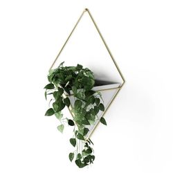 Gold+White Ceramic Triangular Hanging Decorative Wall Planter, Originally $38