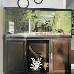 Aquarium (90 Gallon) + Cabinet