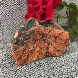 Desert Varnish - Petrified Wood 🤷‍♀️ - Beautiful Paperweight