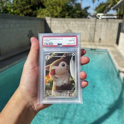 PSA Furret Graded Slab