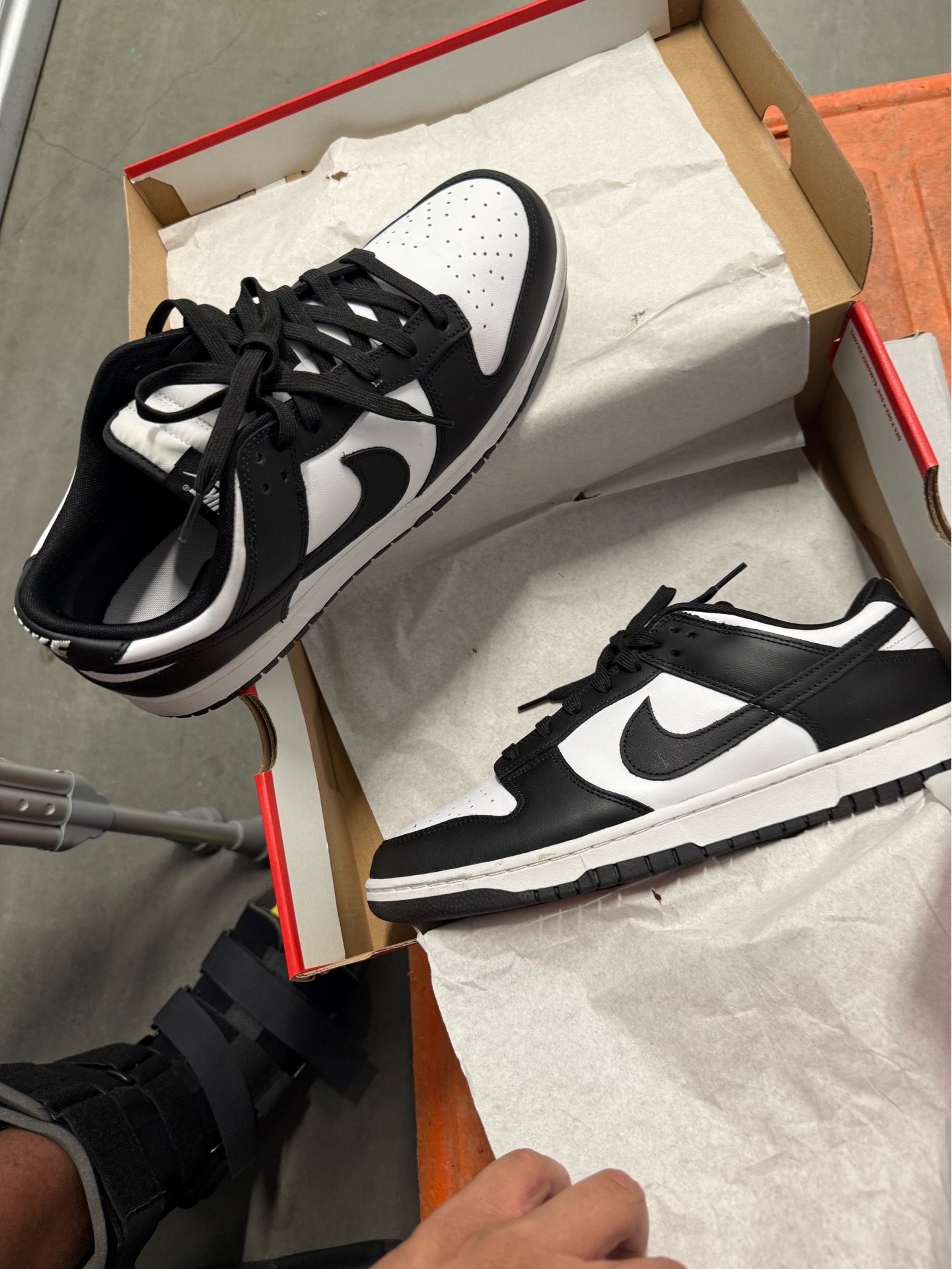 Panda Dunks size 13
