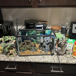 5 gallon Fish Tank W/Accesories 