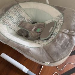Ingenuity Infant Swing