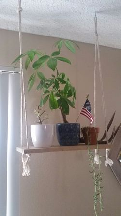 Decorative plant holder