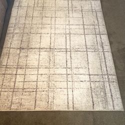 5 X 7 Area Rug