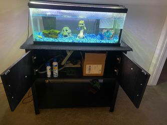 20 gallon fish tank setup