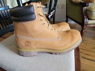 9 1/2  Timberland boots