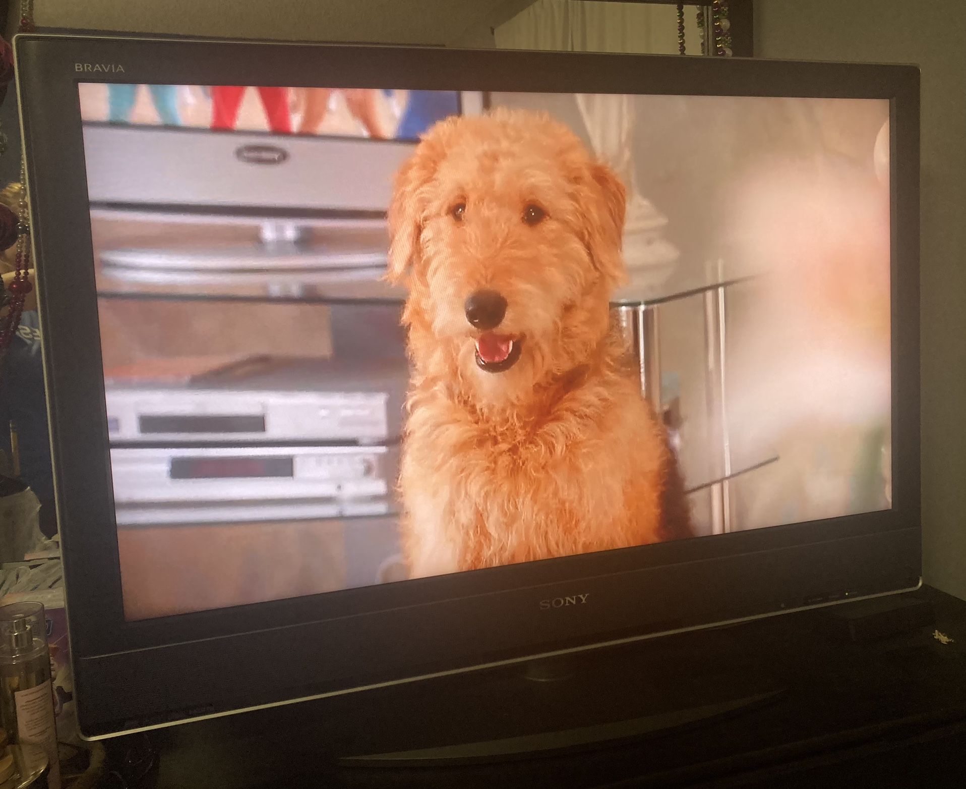Sony 42” TV- Works Perfectly!