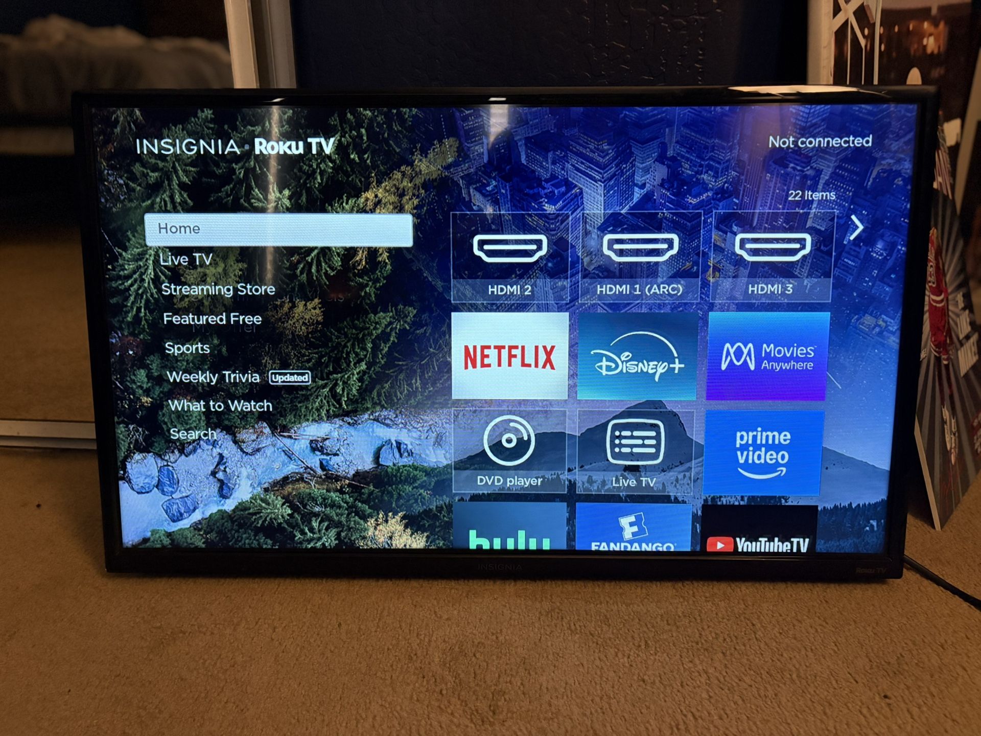 32 Inch Roku Tv