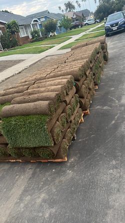 Sod grass grass marathon 2