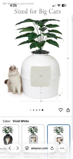 Secret litter box