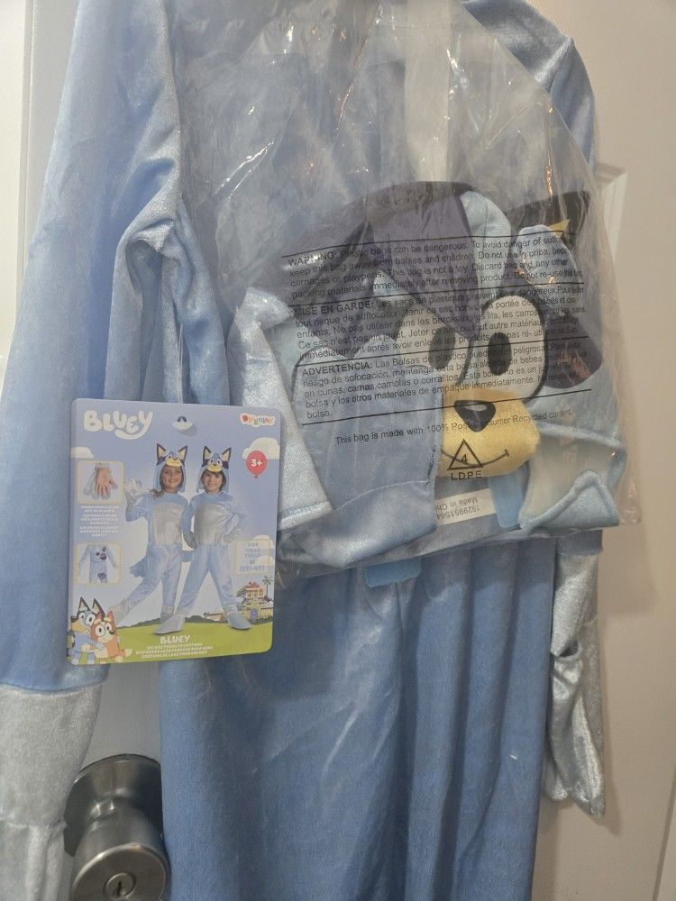 Bluey Costume
