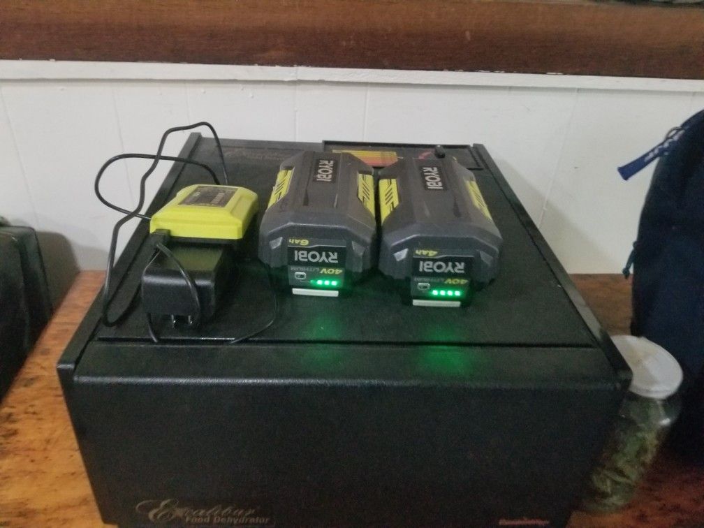 Ryobi Batteries And Charger