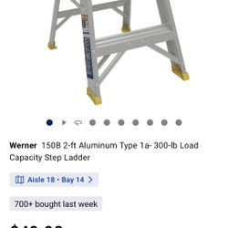 2ft 300# Capacity Light Weight Aluminum Warner Ladder