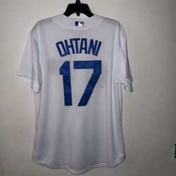 Los Angeles Dodgers Shohei Ohtani Nike Jersey Japan MLB Baseball #17 Mexican Poncho Drug Rug Hoodie Sweater