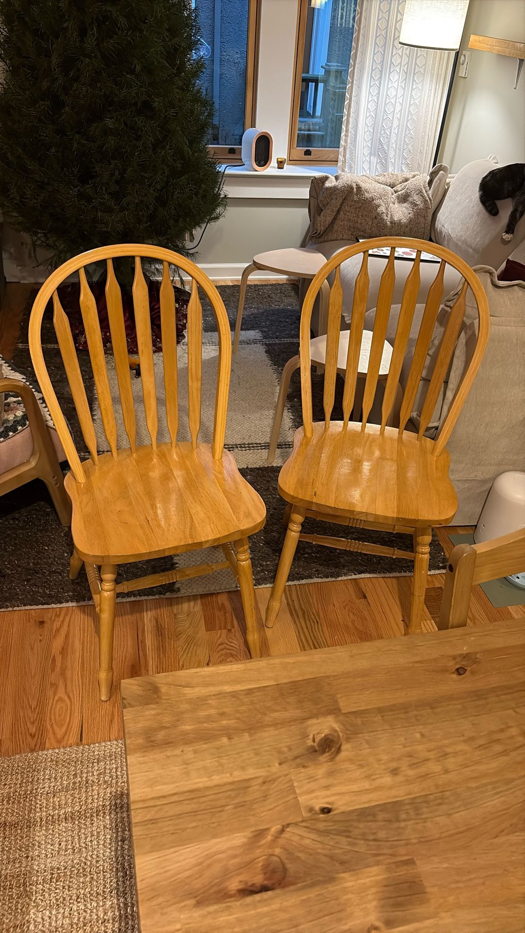 Dinning Chairs