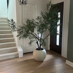 Costco faux olive Tree 