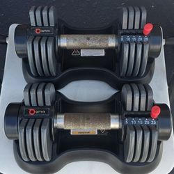 Adjustable Dumbbells