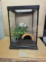Enclosure/Tank for small pets