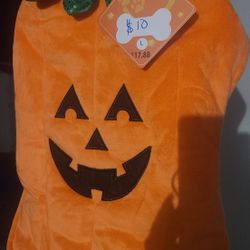 Pet Costumes $5 Each