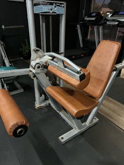 Paramount Leg Curl