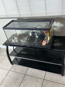 Tortoise inclosure $100 everything included