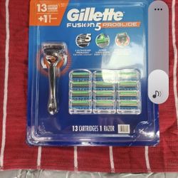 Gillette 13+1 Fusion 5