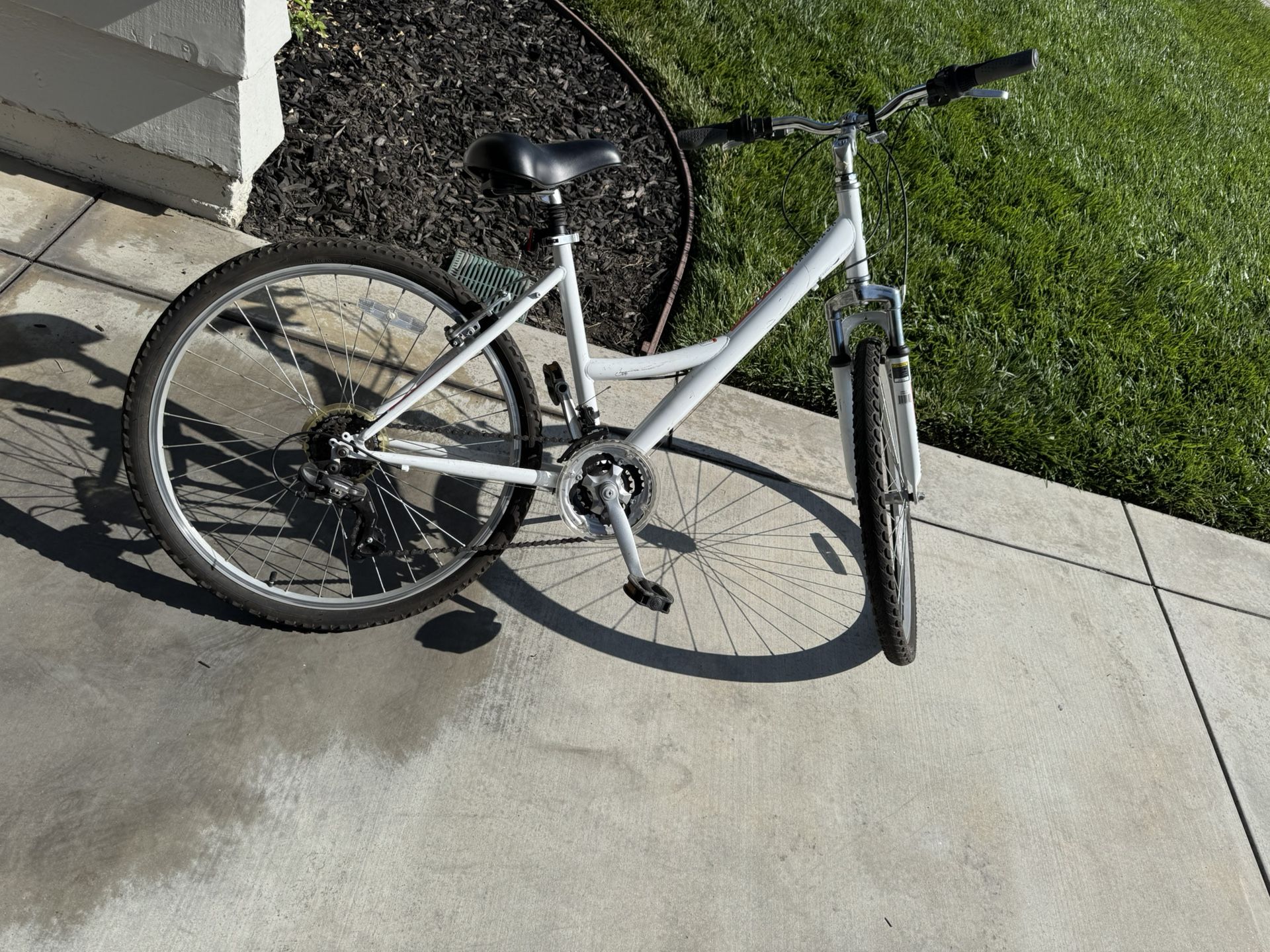 Bike 17” 