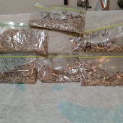 semillas de árnica a ,$2  cada una