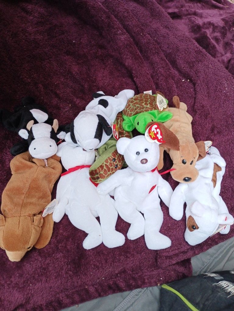Beanie Baby's From 1993 To 1999