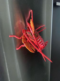 Fish magnet