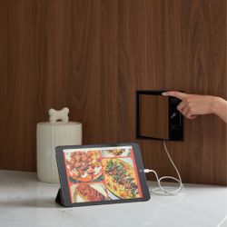 Brand new Framed No-See Receptacle Mount ( Silk White)